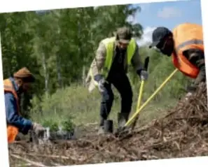 Personas con chalecos de seguridad trabajando la tierra y sembrando plantas.