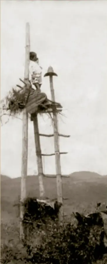 Fotografía histórica en sepia: un niño indígena de pie sobre una choza o mirador elevado de troncos, en un paisaje rural de montañas, vigilando el cultivo. Pie: 'Niño indígena cuidando el cultivo, "Cuervero", ca. 1890-1900. Secretaría de Cultura, INAH.SINAFO.FN.MX.'