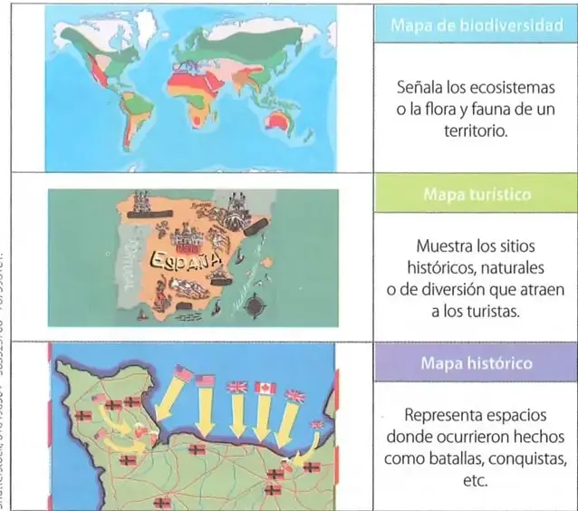 Figura 1 de Estudios Sociales 8° · 2025