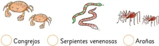 Tres ilustraciones para elegir: un cangrejo, una serpiente verde enroscada y dos arañas rojas, cada una con un círculo para marcar la respuesta.