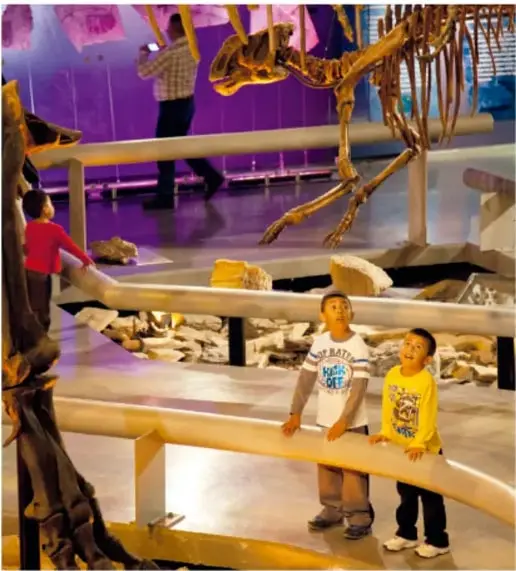 Fotografía de niños observando un esqueleto de dinosaurio dentro de un museo; crédito a Francisco Palma Lagunas, Ciudad de México.