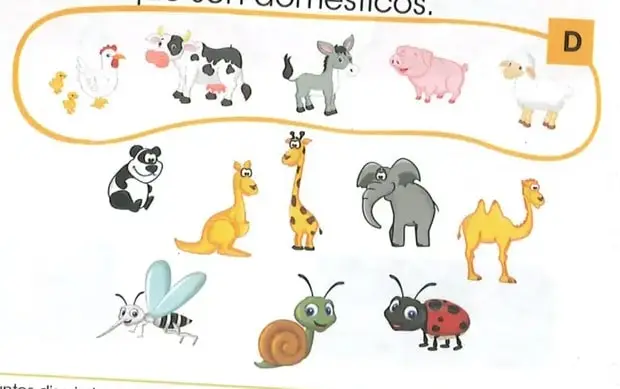 Ilustración de varios animales. Una línea cerrada marcada con la letra D encierra animales domésticos.