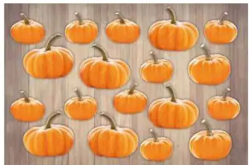 Quince calabazas naranjas ordenadas en tres filas sobre una superficie de madera.