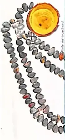Collares elaborados con semillas de diferentes formas y colores.