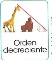 Figura 5 de Matematica 2° · Egb 2 Matematica 2025 · 2025