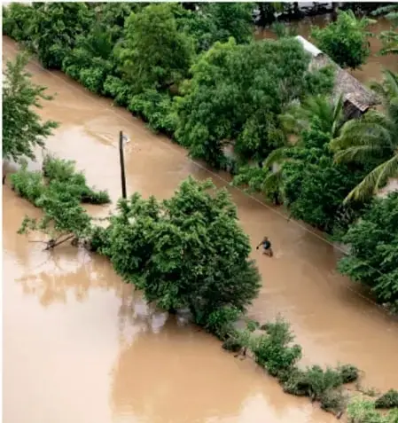 Fotografía aérea de una inundación: río desbordado de agua marrén que cubre zonas boscosas y viviendas rurales, con palmeras y vegetación tropical a los lados.