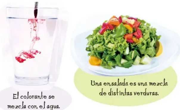 Plato con ensalada de verduras variadas; leyenda: "Una ensalada es una mezcla de distintas verduras".