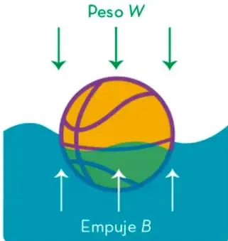 Esquema de una pelota sumergida en agua con flechas que representan el peso W hacia abajo y el empuje B hacia arriba.