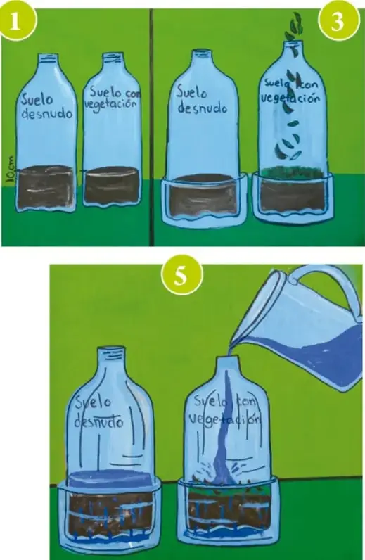 Cuatro botellas de plástico cortadas: dos con suelo desnudo y dos con suelo y vegetación, marcadas con los números 1 y 3.