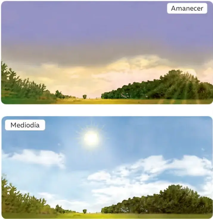 Paisaje al amanecer con el cielo anaranjado, el Sol bajo cerca del horizonte y árboles en silueta.