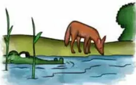 Ilustración de un chacal bebiendo agua en la orilla de un río, junto a juncos y un cocodrilo asomando en el agua.