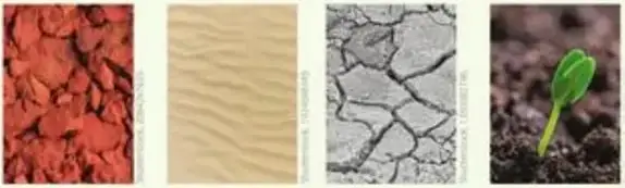 Figura 12 de Ciencias Naturales 5° · Egb 5 Ciencias Naturales 2024 · 2024