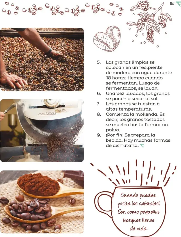 Figura 1 de Múltiples lenguajes. Libro de Educación Primaria Grado 5° Ciclo Escolar 2025 - 2026
