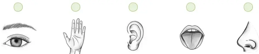 Cinco íconos de los sentidos: ojo, mano, oreja, boca y nariz, cada uno con un círculo para marcar.