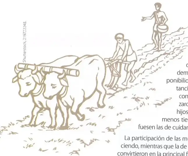 Figura 1 de Estudios Sociales 8° · 2025