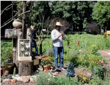 Personas en un jardín comunitario con árboles y flores.
