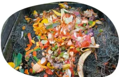 Fotografía de residuos orgánicos (cáscaras y restos de alimentos) en descomposición.