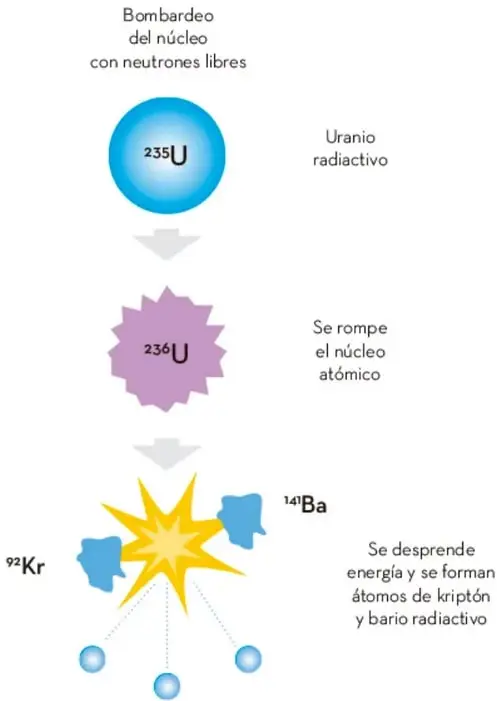 Esquema vertical de la fisión nuclear: neutrones libres bombardean el núcleo de ${}^{235}\text{U}$ (uranio radiactivo), se forma ${}^{236}\text{U}$ que se rompe, liberando energía y produciendo kriptón ${}^{92}\text{Kr}$, bario ${}^{141}\text{Ba}$ y neutrones libres.