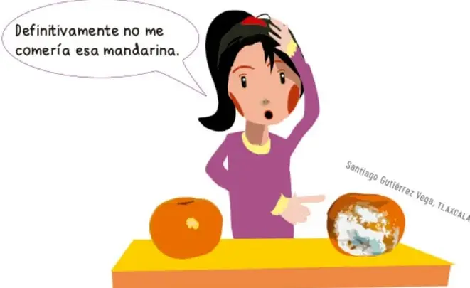 Ilustración de una niña señalando dos mandarinas sobre una mesa: la izquierda fresca y anaranjada, la derecha con moho blanco y verdoso. La niña dice: 'Definitivamente no me comería esa mandarina'.