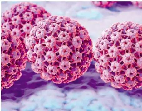 Micrografía coloreada de partículas esféricas del virus del papiloma humano.