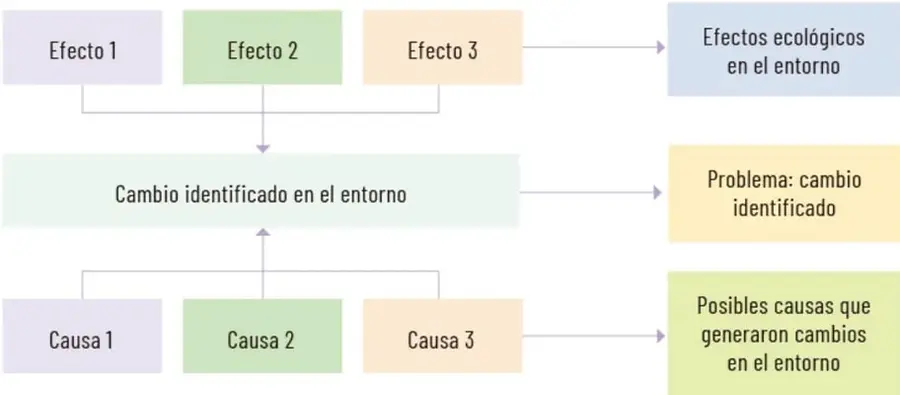 Esquema de árbol de problemas con efectos arriba, cambio al centro y causas abajo.
