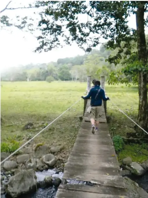 Persona cruzando un puente colgante de madera sobre un arroyo, rodeado de prado y selva nebulosa.