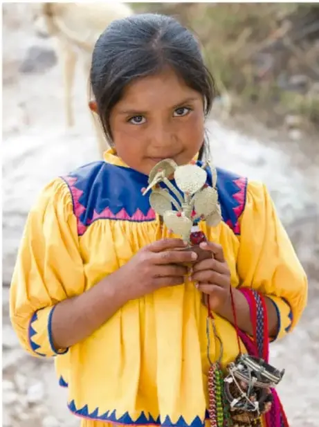 Fotografía de una niña indígena con vestimenta tradicional amarilla y bordados de colores, sosteniendo un objeto artesanal; en el fondo se aprecia un entorno rural con un animal.
