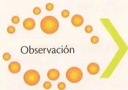 Figura 3 de Ciencias Naturales 9° · 2025