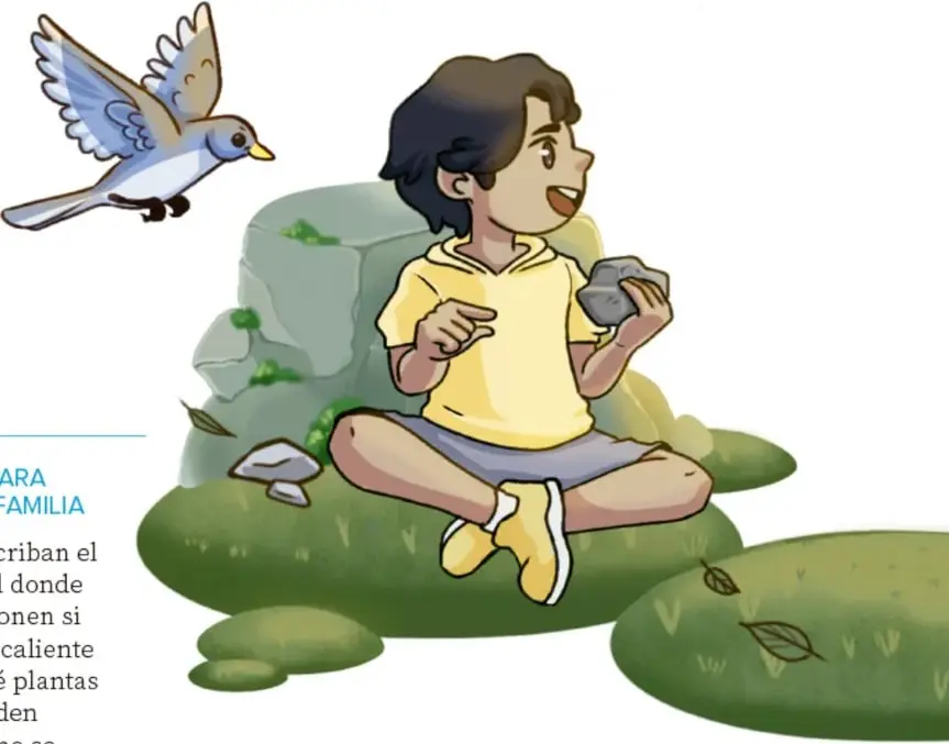 Un niño sentado sobre el pasto sonríe y observa una piedra mientras un pájaro azul vuela cerca; hay rocas, pasto y hojas.