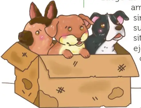 Ilustración de tres cachorros (uno café, uno blanco con manchas negras y uno blanco y café) asomados dentro de una caja de cartón desgastada. Crédito: Cristy Ailed Reyes Espinosa, Zacatecas.