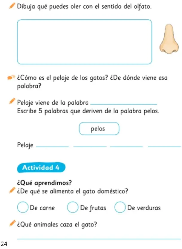 Recuadro para dibujar lo que se puede oler con el sentido del olfato, acompañado de una nariz.