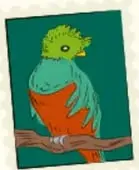 Estampilla con un loro verde y naranja en una rama (misma ilustración de páginas anteriores del proyecto).