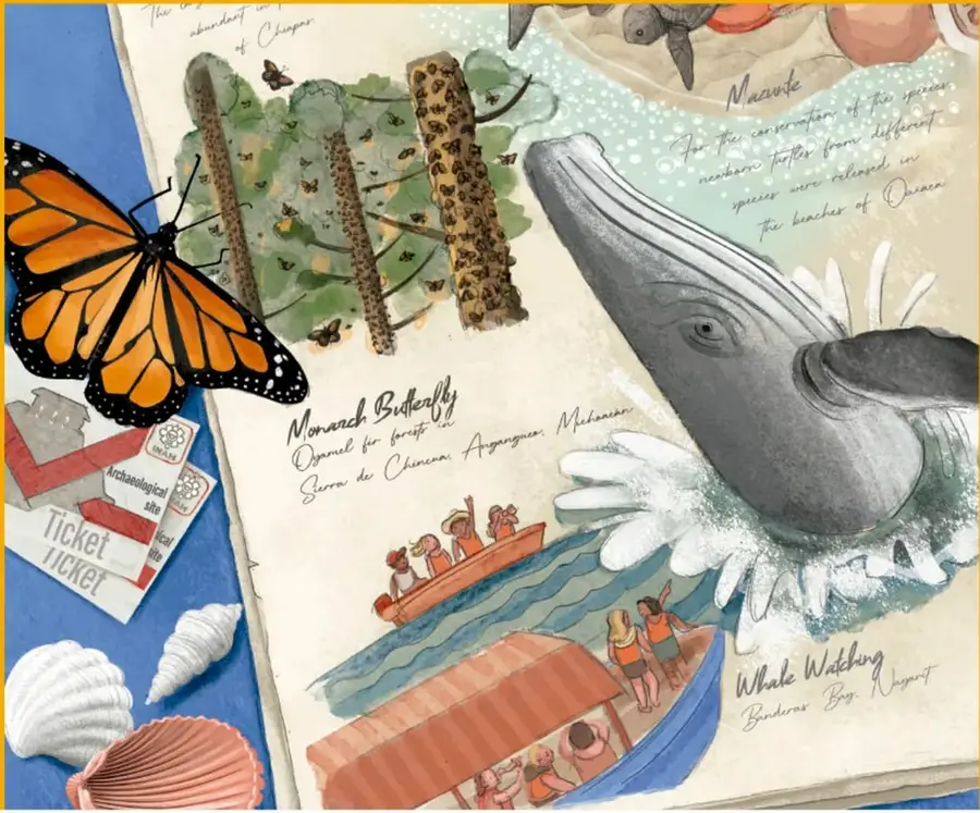 Ilustración tipo cuaderno de viaje con una mariposa monarca naranja y negra, un tiburón ballena gris emergiendo del agua, un bote turístico con personas observando ballenas, conchas marinas, un boleto de sitio arqueológico y anotaciones manuscritas sobre conservación de especies.
