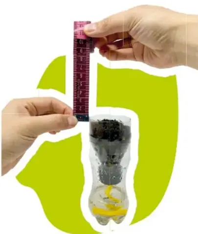 Fotografía de dos manos sosteniendo una cinta métrica vertical junto a una planta creciendo dentro de una botella de plástico reciclada convertida en maceta, sobre un fondo verde.