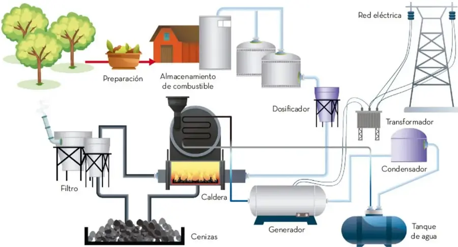 Diagrama de una central de biomasa: preparación, almacenamiento, dosificador, caldera, generador, transformador, red eléctrica, condensador, tanque de agua, filtro y cenizas.