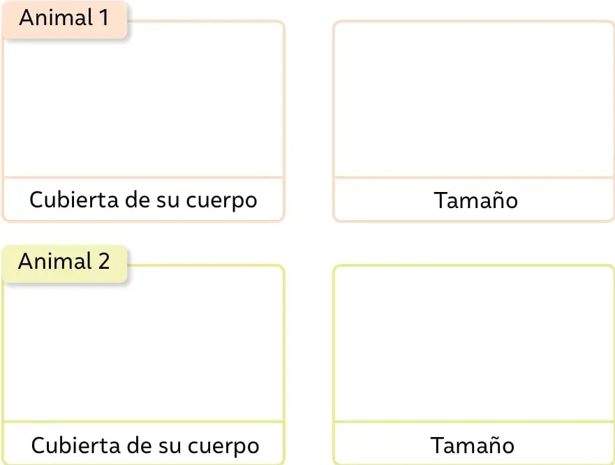 Cuatro recuadros en blanco organizados en dos filas: la primera fila corresponde al Animal 1 (recuadro para dibujar y recuadro 'Cubierta de su cuerpo', más un recuadro 'Tamaño'); la segunda fila corresponde al Animal 2 con los mismos recuadros.