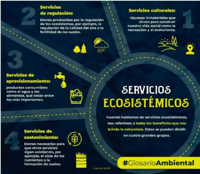 Infografía titulada 'Servicios ecosistémicos' con cuatro secciones numeradas: servicios culturales, de regulación, de aprovisionamiento y de sostenimiento, con íconos y texto breve. Fuente: WWF.