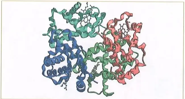 Figura 2 de Ciencias Naturales 10° · 2025