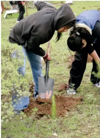Niños jugando en un espacio público con un resbaladero, en actitud participativa.