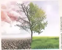 Figura 2 de Ciencias Naturales 8° · Egb 8 Ciencias Naturales 2025 · 2025