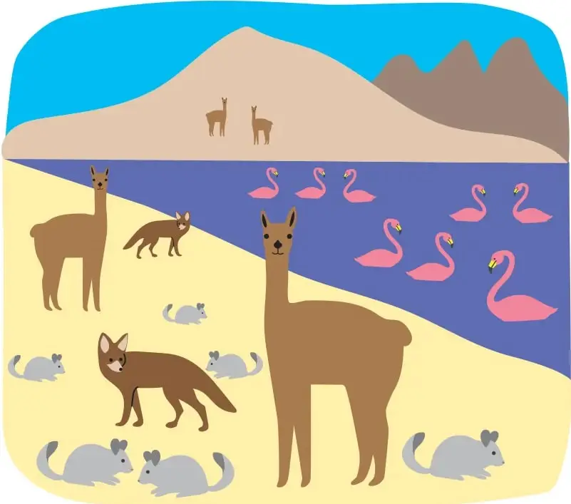 Ilustración de la Reserva Nacional Los Flamencos: cielo celeste, cerros cafés con dos vicuñas, una laguna morada con varios flamencos rosados y un sector de tierra amarilla donde hay dos llamas grandes, dos zorros y seis vizcachas grises.
