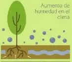 Figura 11 de Ciencias Naturales 6° · Egb 6 Ciencias Naturales 2025 · 2025
