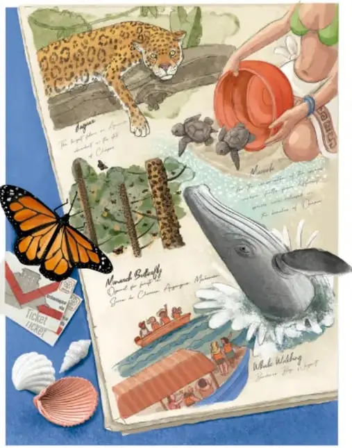 Ilustración tipo collage con un jaguar, una tortuga marina, una mariposa monarca, una ballena jorobada, conchas, un boleto y una lancha con personas; incluye textos manuscritos en inglés como 'Jaguar', 'Manatee', 'Mermaid Butterfly' y 'Whale Watching'.