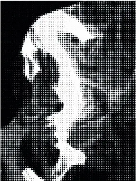 Imagen en blanco y negro formada por puntos que, según se mire, muestra un rostro humano de perfil o un ave en vuelo.