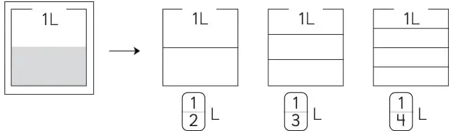 Recipiente con la mitad pintada y tres opciones de fracción: 1/2, 1/3 y 1/4.