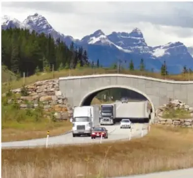Fotografía de un puente o paso de fauna sobre una carretera, con montañas nevadas y bosque de coníferas al fondo; pasan camiones y autos.