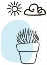 Lista decorativa de los días de la semana: LUNES, MARTES, MIÉRCOLES, JUEVES, VIERNES, SÁBADO y DOMINGO, cada uno en un recuadro de color; además, ilustraciones de sol, nube y planta en maceta.