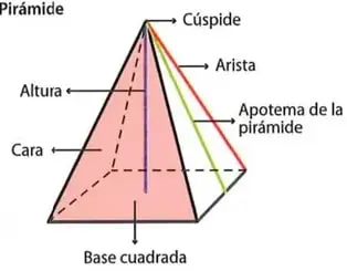 Diagramas de un prisma y una pirámide con sus elementos señalados: caras, aristas, vértices, altura, bases, cúspide y apotema.