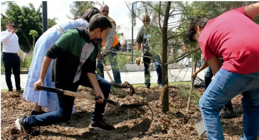 Fotografía de un grupo de personas (jóvenes y adultos) trabajando en comunidad, arrodilladas con herramientas, plantando árboles y preparando el suelo en una área verde con mantillo, en una jornada de trabajo comunitario.