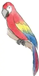 Tres animales en fila: un perro blanco y café, un gato amarillo sentado y un loro o guacamayo rojo, azul y amarillo posado en una rama.